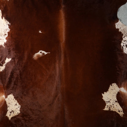Select Nguni Hide - Chestnut Brown & White | AGD7181 | 2.3m X 2.4m