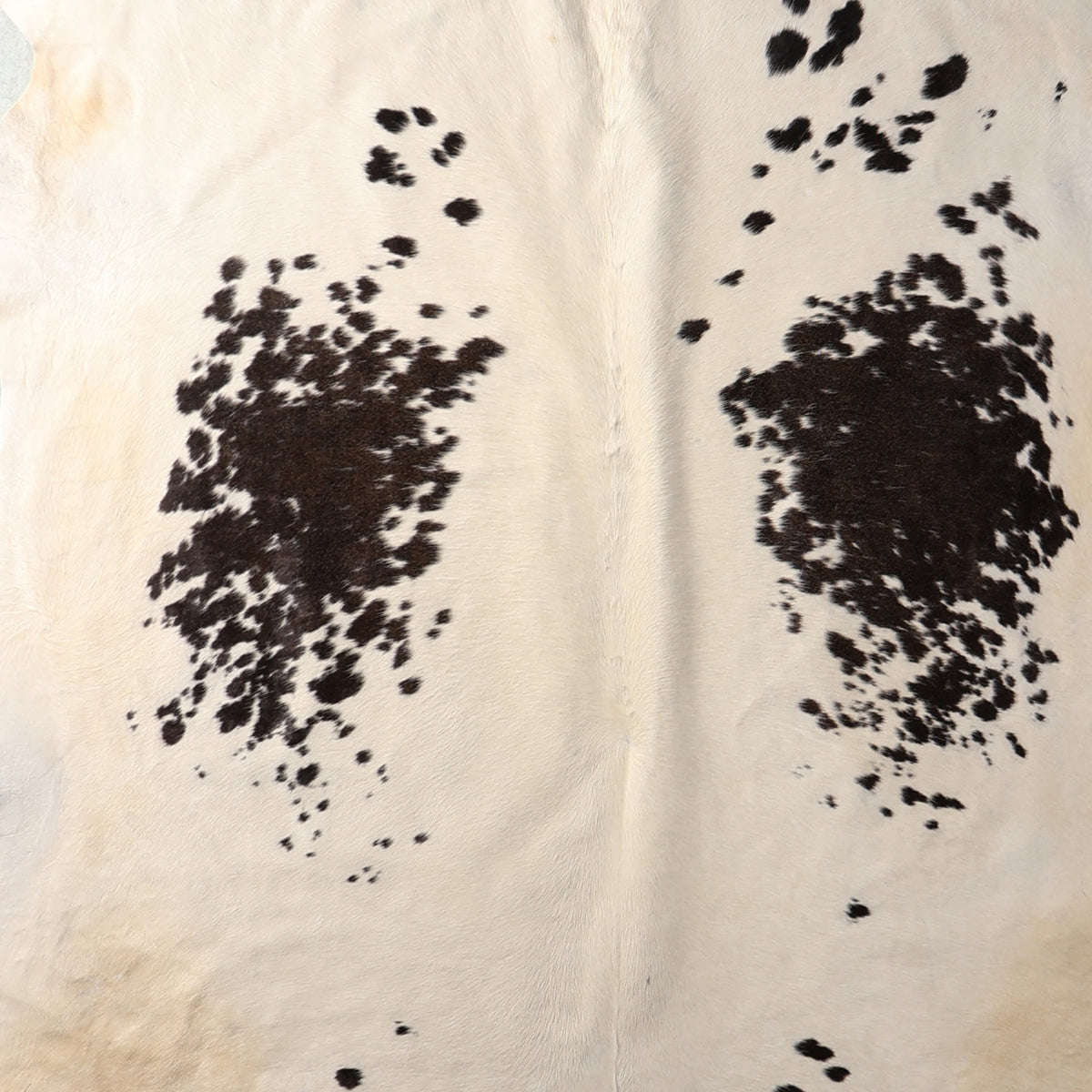 Select Nguni Hide - Cream & Dark Brown Spotted | AGD7187 | 2.0m X 2.3