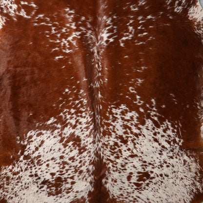 Select Nguni Hide - Reddish Brown & White Speckled | AGS7396 | 1.7m x 2.0m