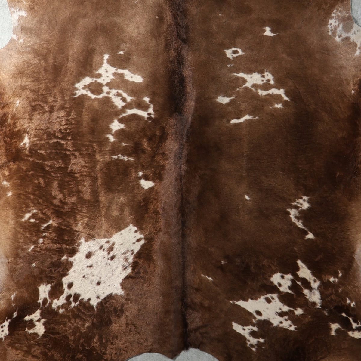 Select Nguni Hide - Chocolate Brown & White Patches | AGS7406 | 1.9m x 2.3m