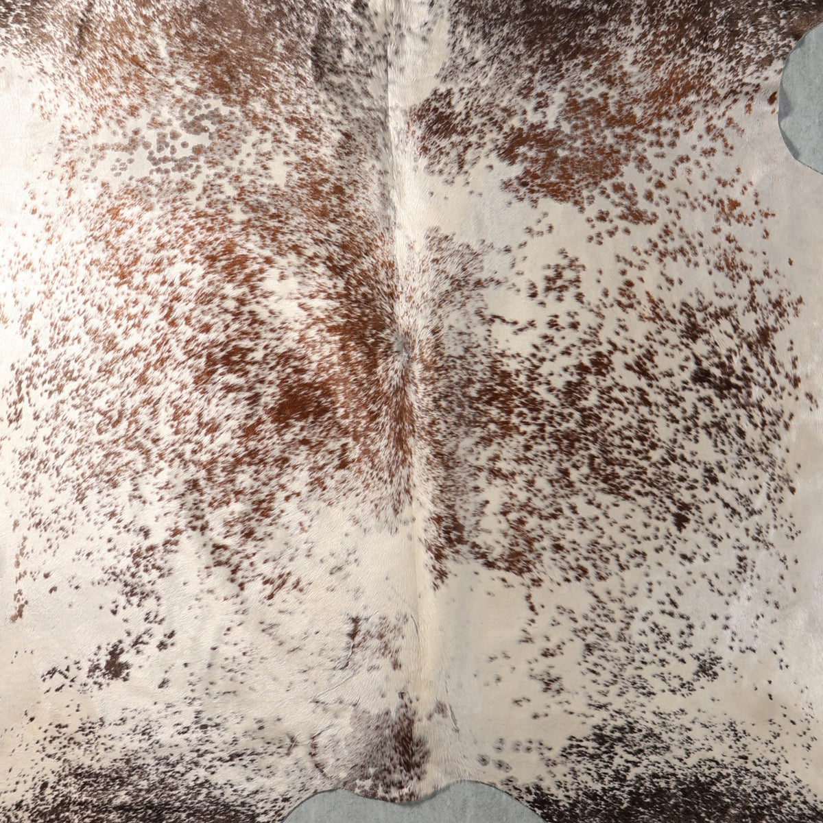 Select Nguni Hide - Dark Brown & Cream Speckled | AGS7412 | 2.2m x 2.6m