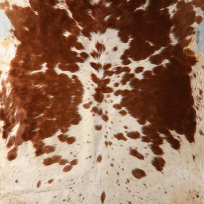Select Nguni Hide - Chestnut Brown & White Spotted | AGS7428 | 1.9m x 2.2m