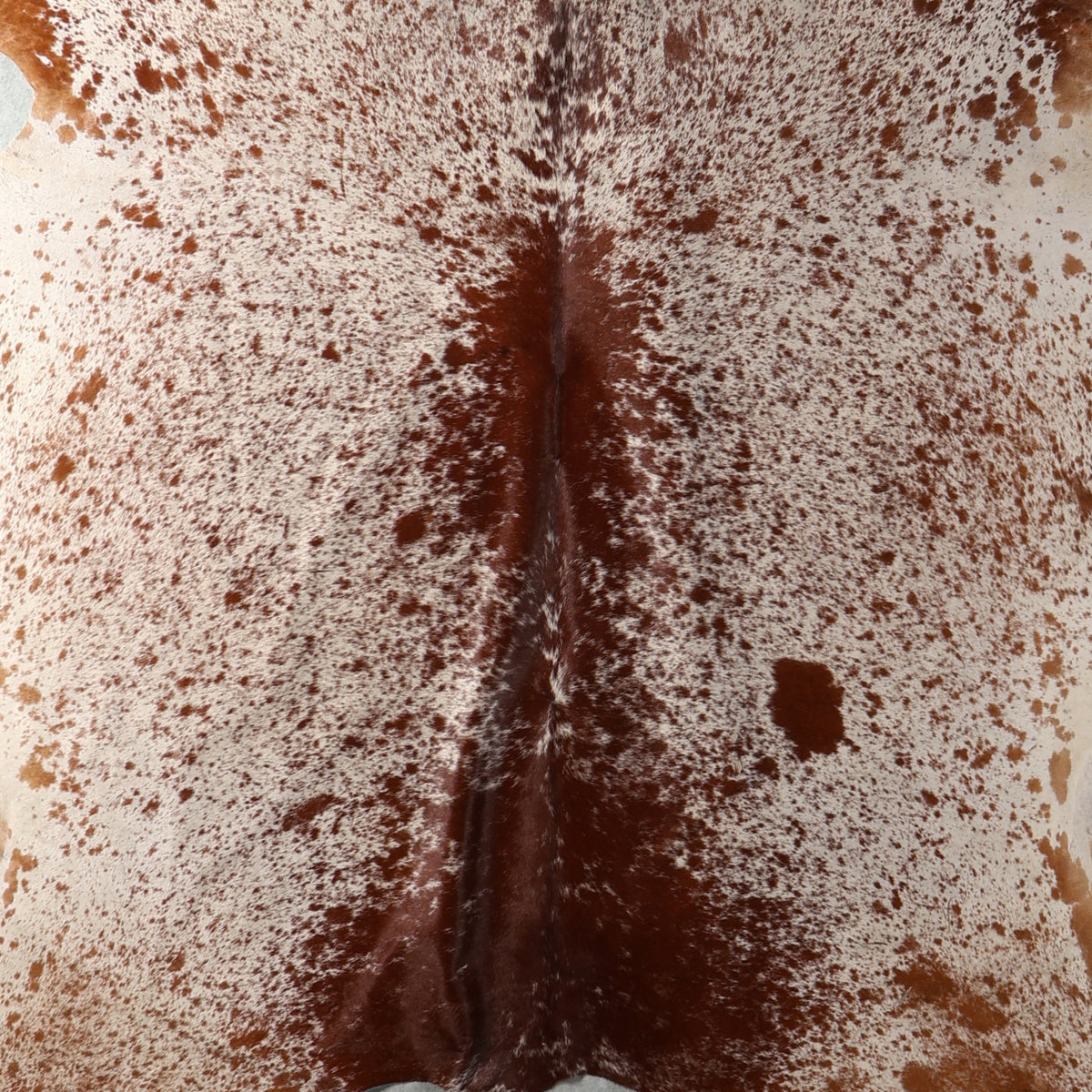 Standard Nguni Hide - Chestnut & Cream Fine Speckled | BGS2740 | 2.0m X 2.4m