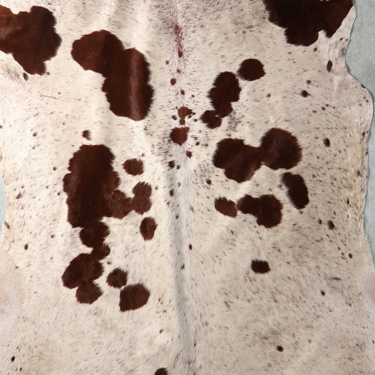 Standard Nguni Hide - Cream & Dark Brown Spotted | BGS2745 | 1.7m X 2.1m