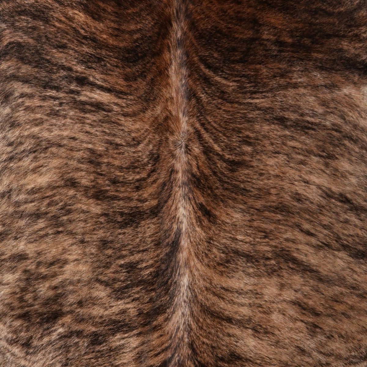 A close-up texture shot of a brindle nguni cowhide 
