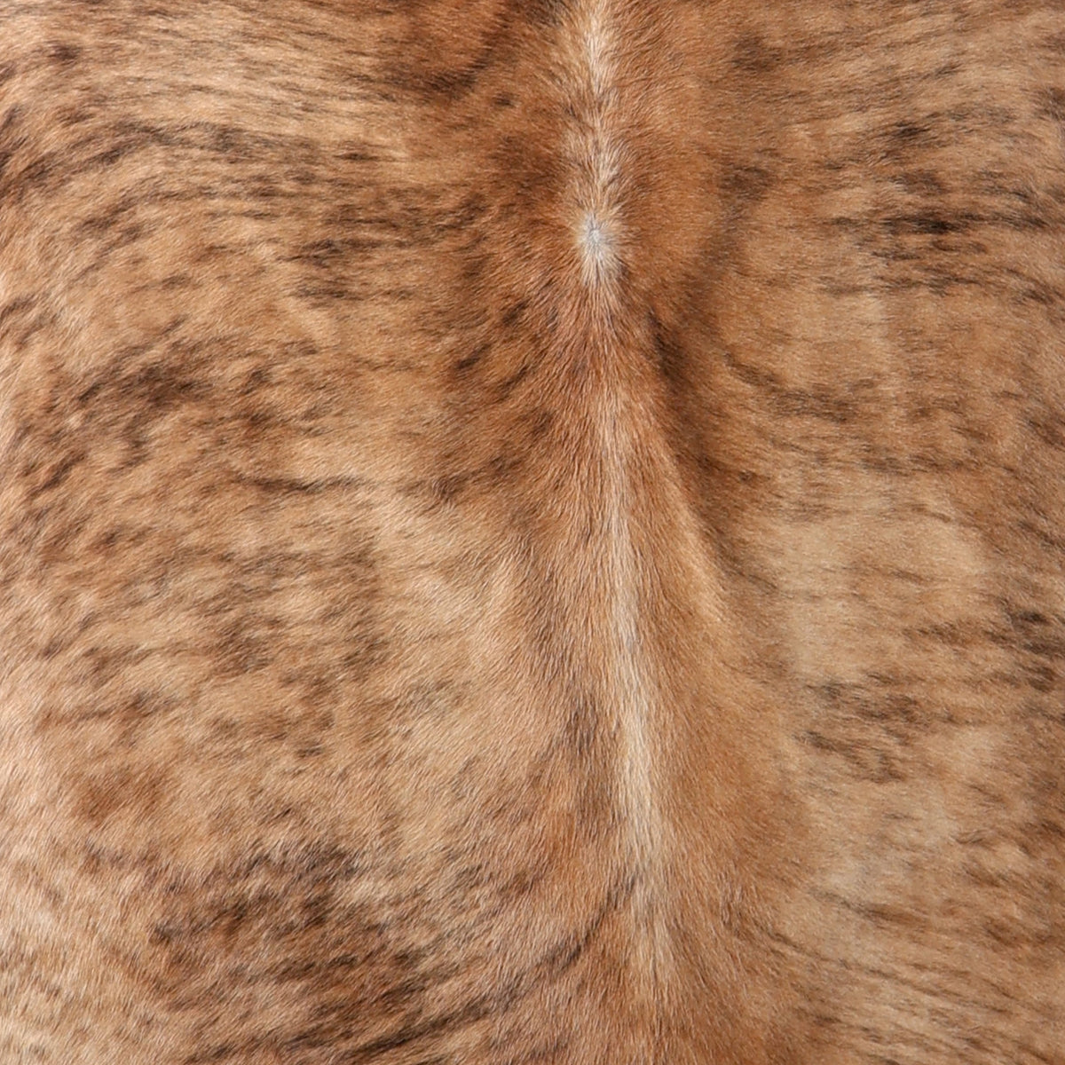 A close-up texture shot of a brown and tan brindle Nguni cowhide showing a central seam with darker brown streaks.