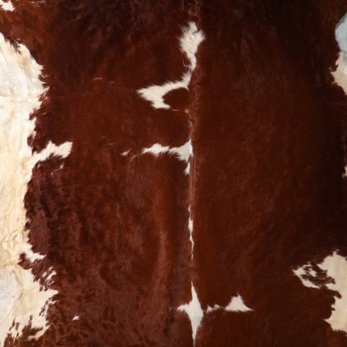Close up of Brown and white Nguni cowhide rug 