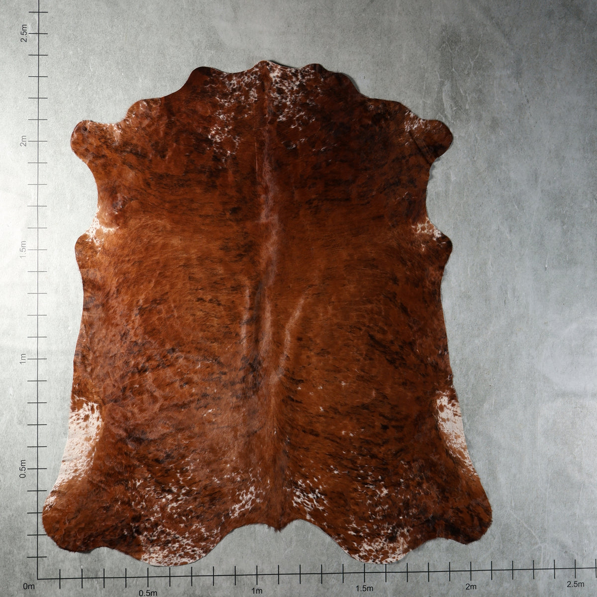 Premium Nguni Hide - Brindle Chestnut Brown Speckled | AAG5381 | 2.1m x 2.3m