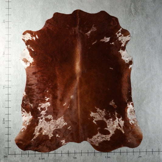 Deep chestnut brown and white genuine South African Nguni cowhide AAG5382 with natural contrasting patches.