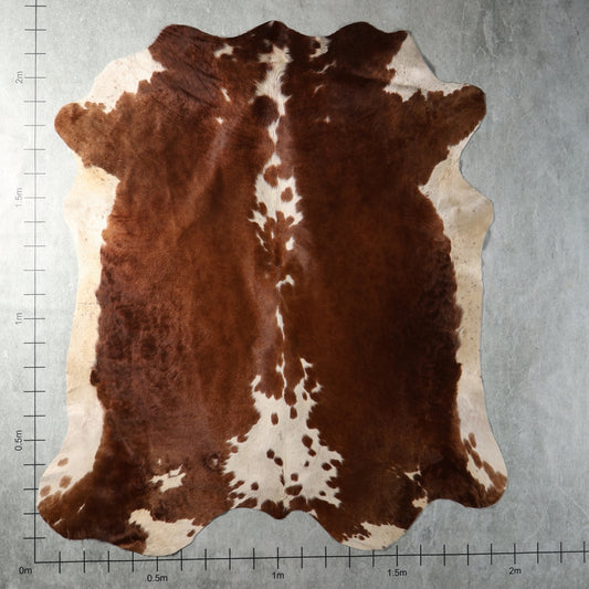 Genuine South African Nguni hide AAG5385 in chestnut brown and cream with distinctive central white markings.