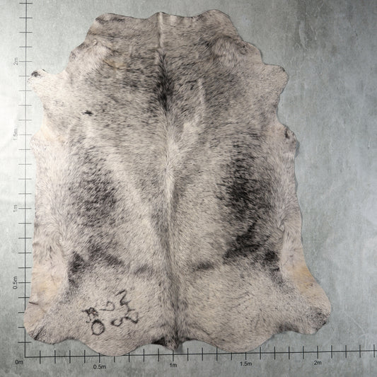 Premium Nguni Hide - Silver Grey Speckled | AAS8311 | 2.1m x 2.3m