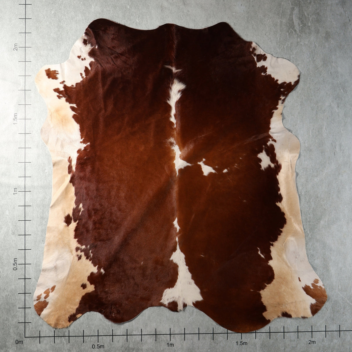 Dark chestnut brown and cream genuine South African Nguni cowhide AGD7146 with natural contrasting markings.