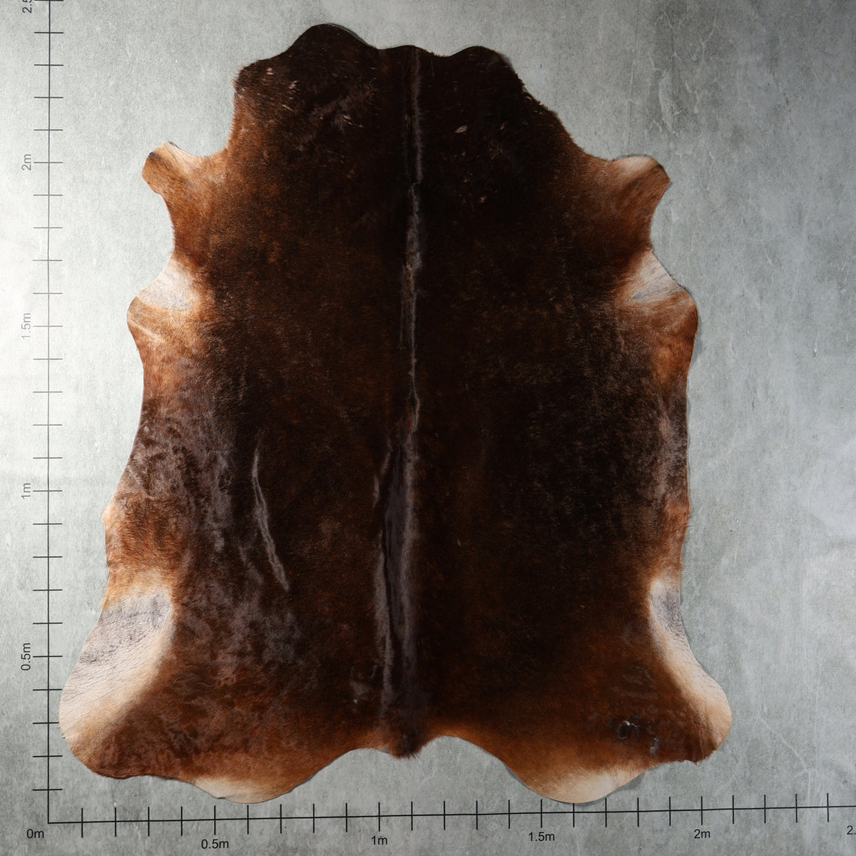 Genuine South African Nguni hide AGD7154 in dark chocolate brown with warm chestnut and tan undertones.