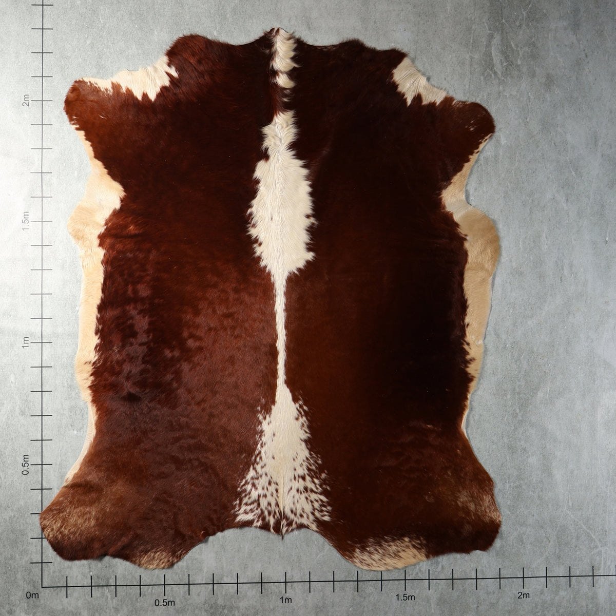 Chestnut brown and cream genuine South African Nguni cowhide AGD7161 with a distinctive central cream marking.