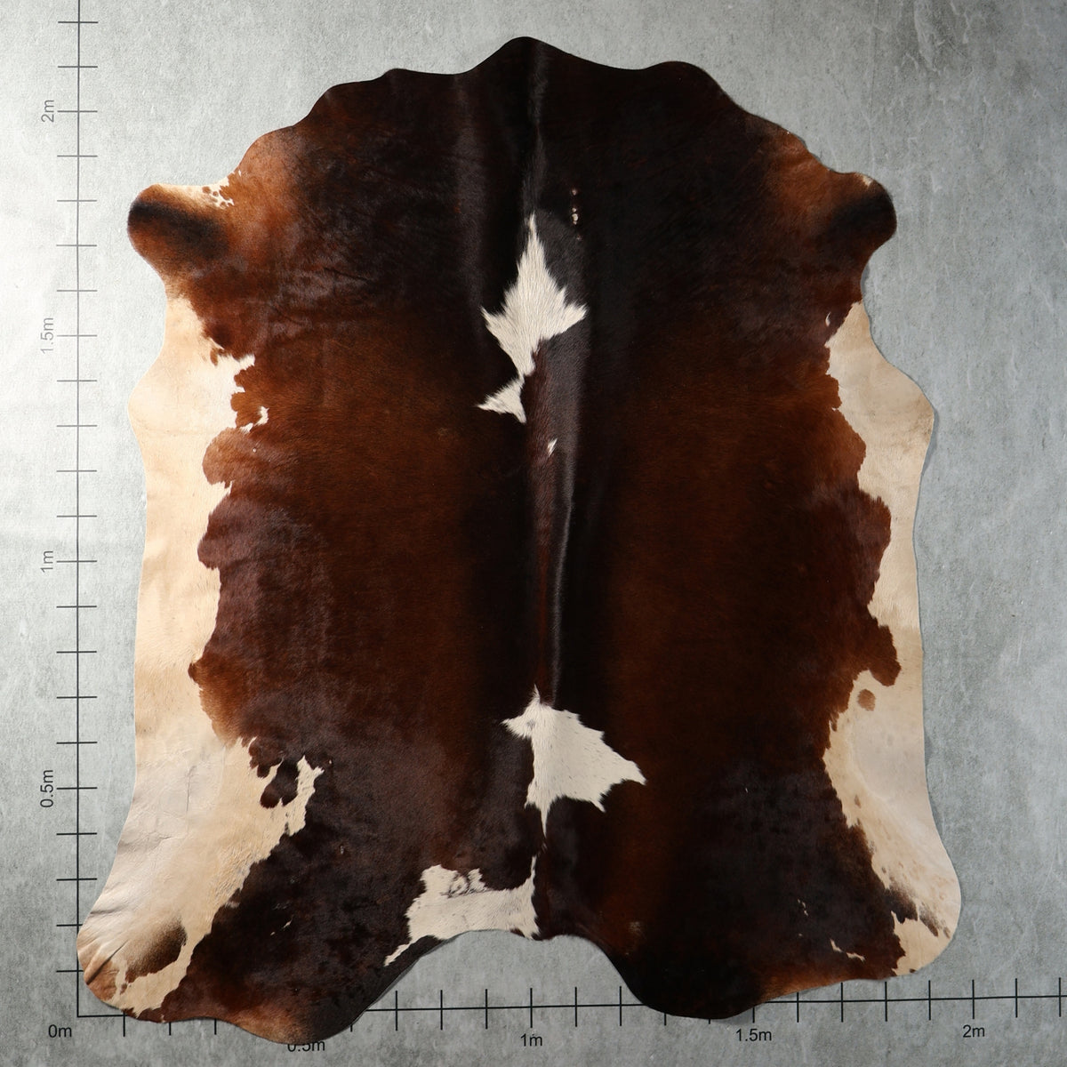 Dark brown and cream genuine South African Nguni cowhide AGD7167 with warm reddish undertones and natural white markings.