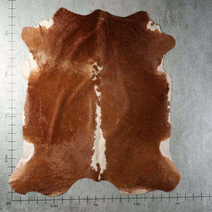 Genuine South African Nguni hide AGD7170 in warm chestnut brown with subtle cream and white markings.
