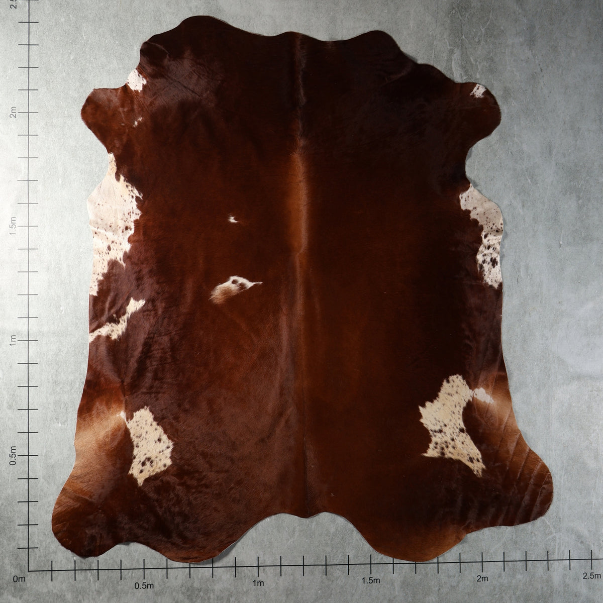 Genuine South African Nguni hide AGD7181 in chestnut brown with distinctive natural white markings.