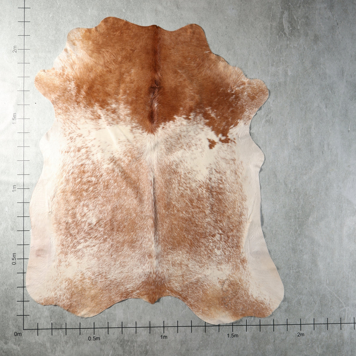 Light chestnut brown and cream speckled genuine South African Nguni cowhide AGS7388 with warm natural colouring.