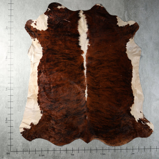 Genuine South African Nguni hide AGS7424 in dark chestnut brindle and white with subtle black striping and cream side markings.