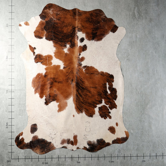 Genuine South African Nguni hide BGS2742 in reddish brown brindle and white with bold patches and dark natural striping.