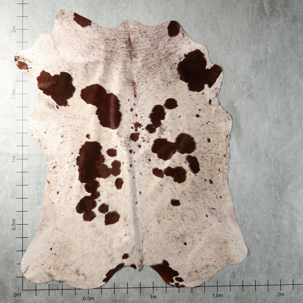 Genuine South African Nguni hide BGS2745 in cream and dark chocolate brown with distinctive rounded spots and scattered markings.