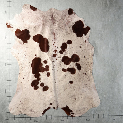 Genuine South African Nguni hide BGS2745 in cream and dark chocolate brown with distinctive rounded spots and scattered markings.
