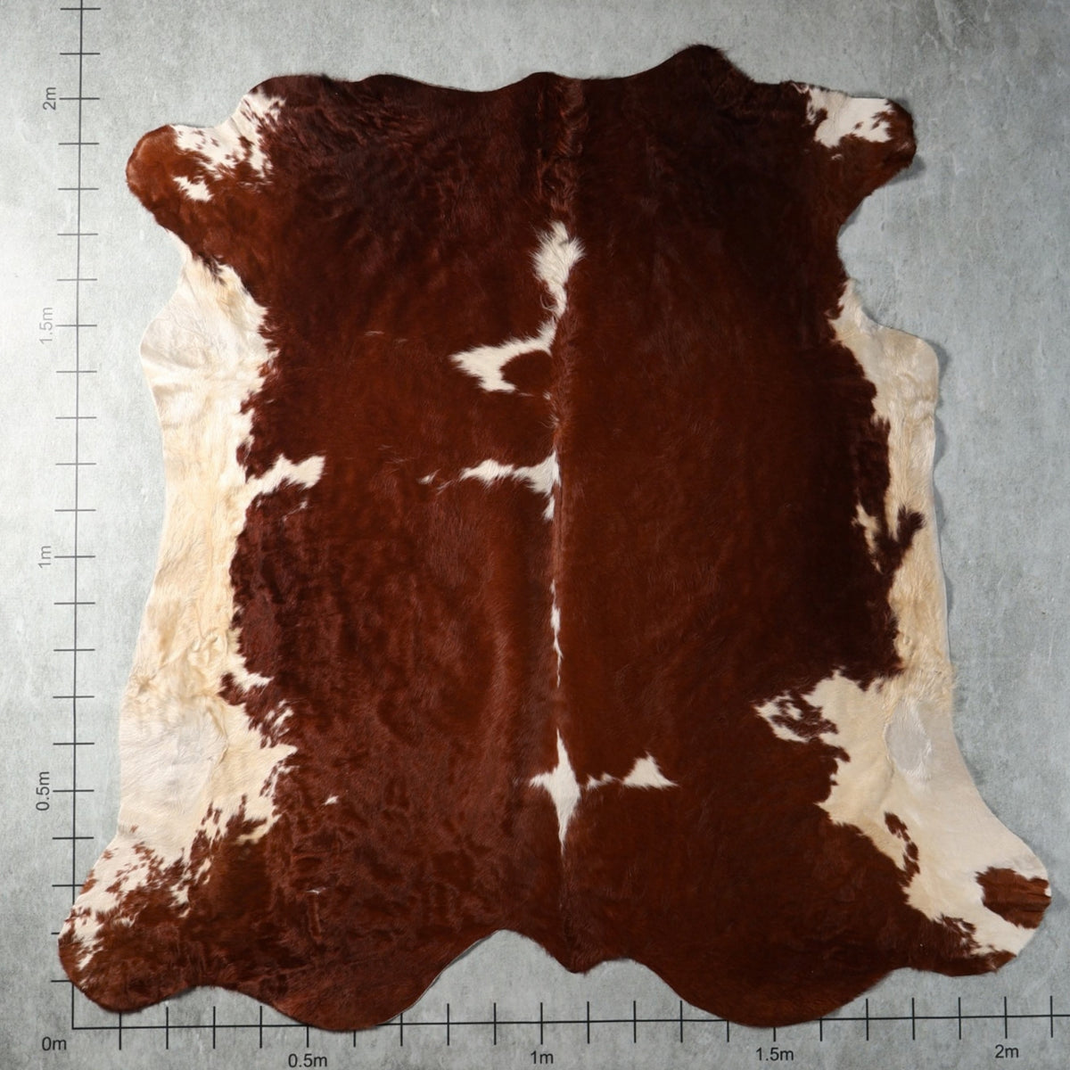 Brown and white genuine South African Nguni hide with natural markings – BGD4928