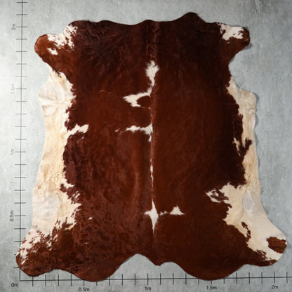Brown and white genuine South African Nguni hide with natural markings – BGD4928