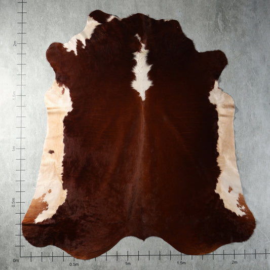 Dark brown and white genuine South African Nguni hide – BGD4934