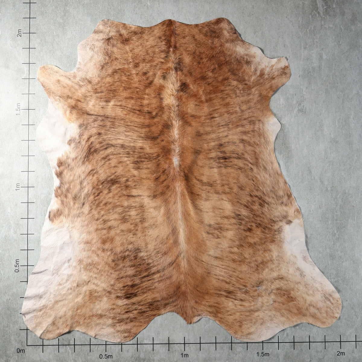 Light brown brindle genuine Nguni hide with tan and natural striped tones – AGS7385