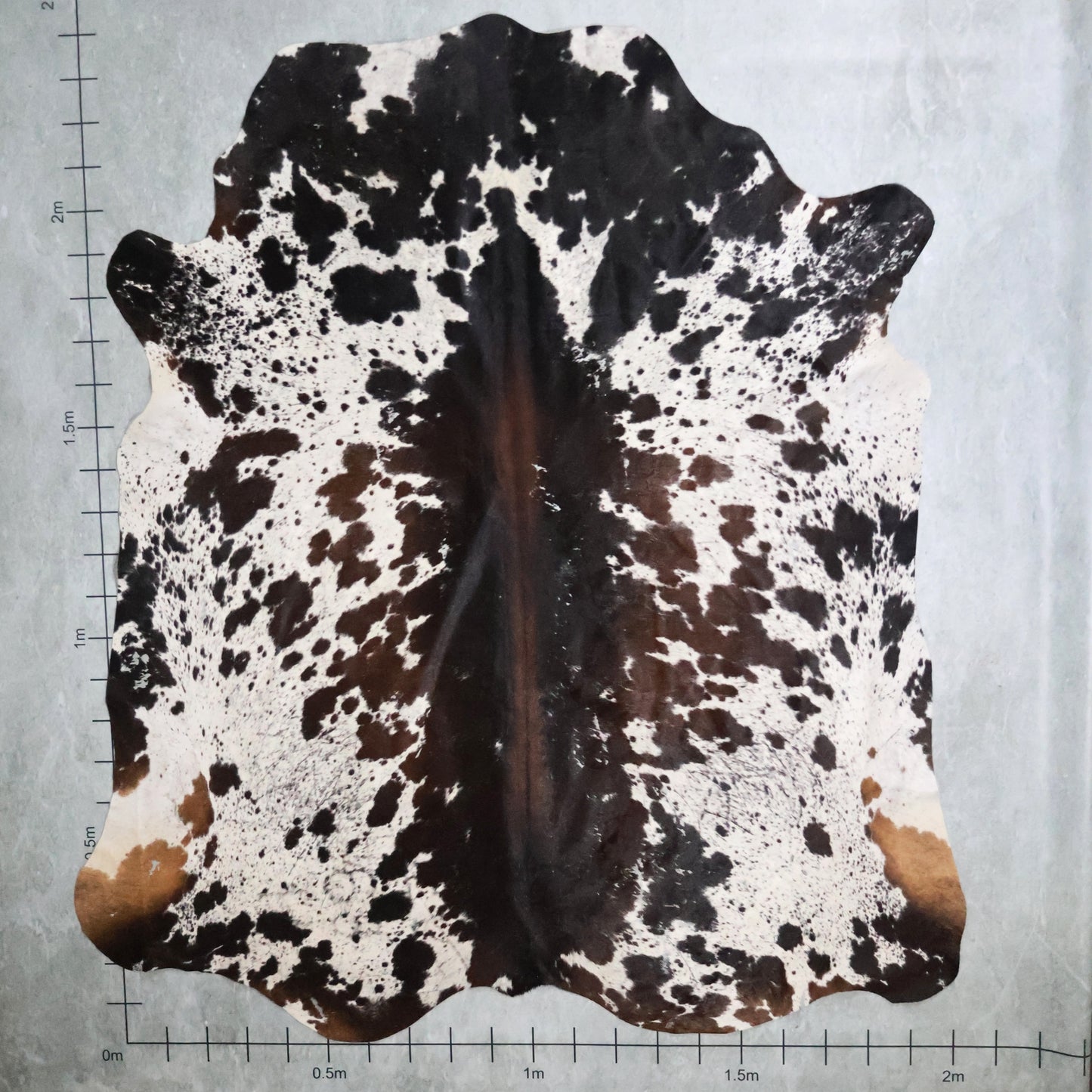 Standard Nguni Hide Tri Colour #BGD4774