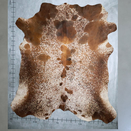 Tri-Colour Nguni Hide #TRI2784