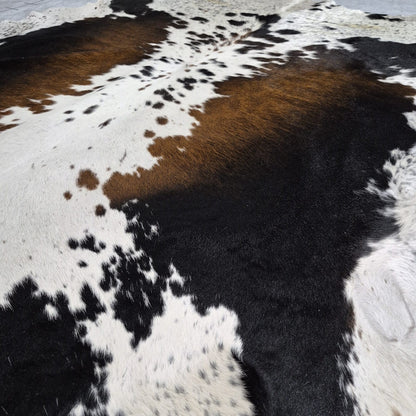 Tri-Colour Nguni Hide #TRI2788
