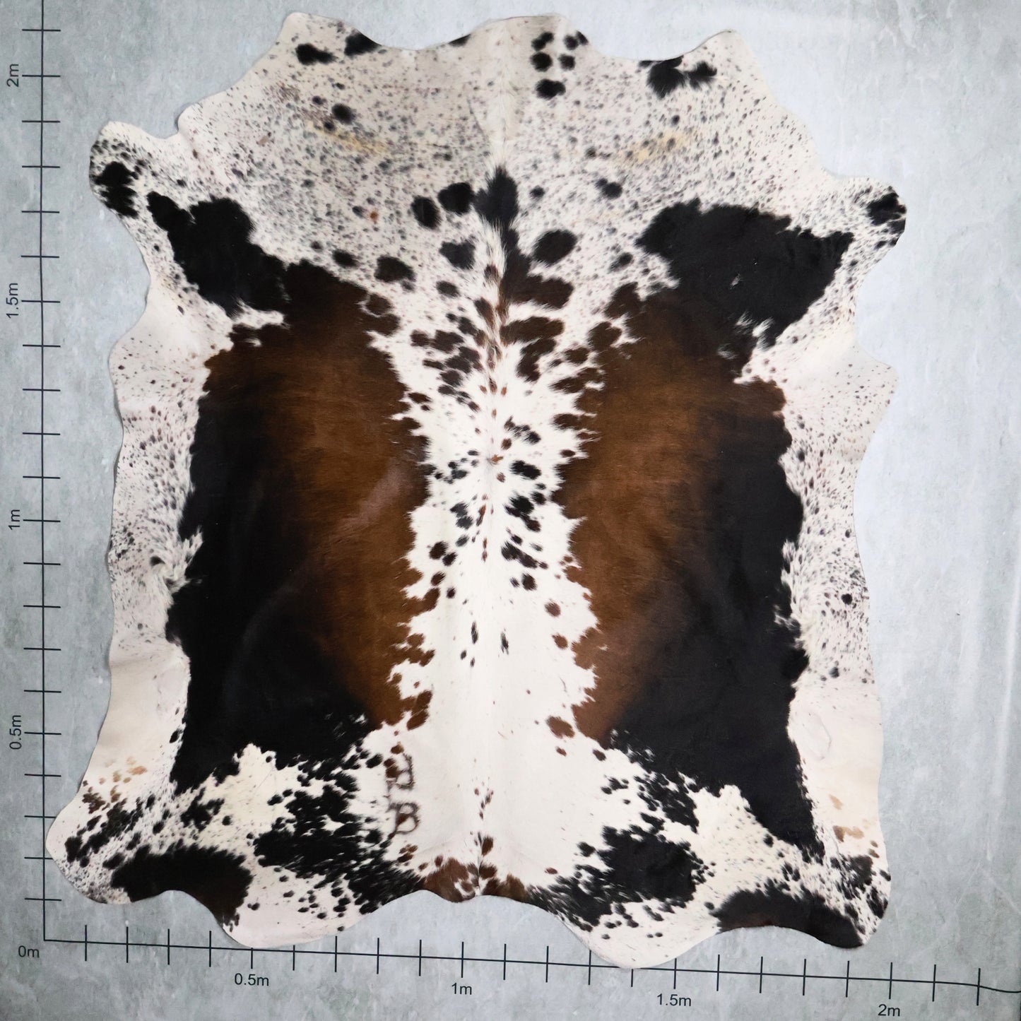 Tri-Colour Nguni Hide #TRI2788
