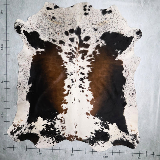 Tri-Colour Nguni Hide #TRI2788
