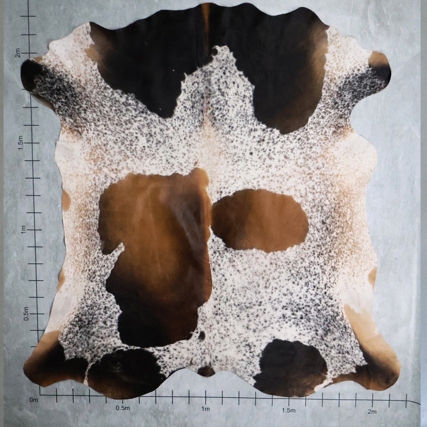 Tri-Colour Nguni Hide #TRI2808