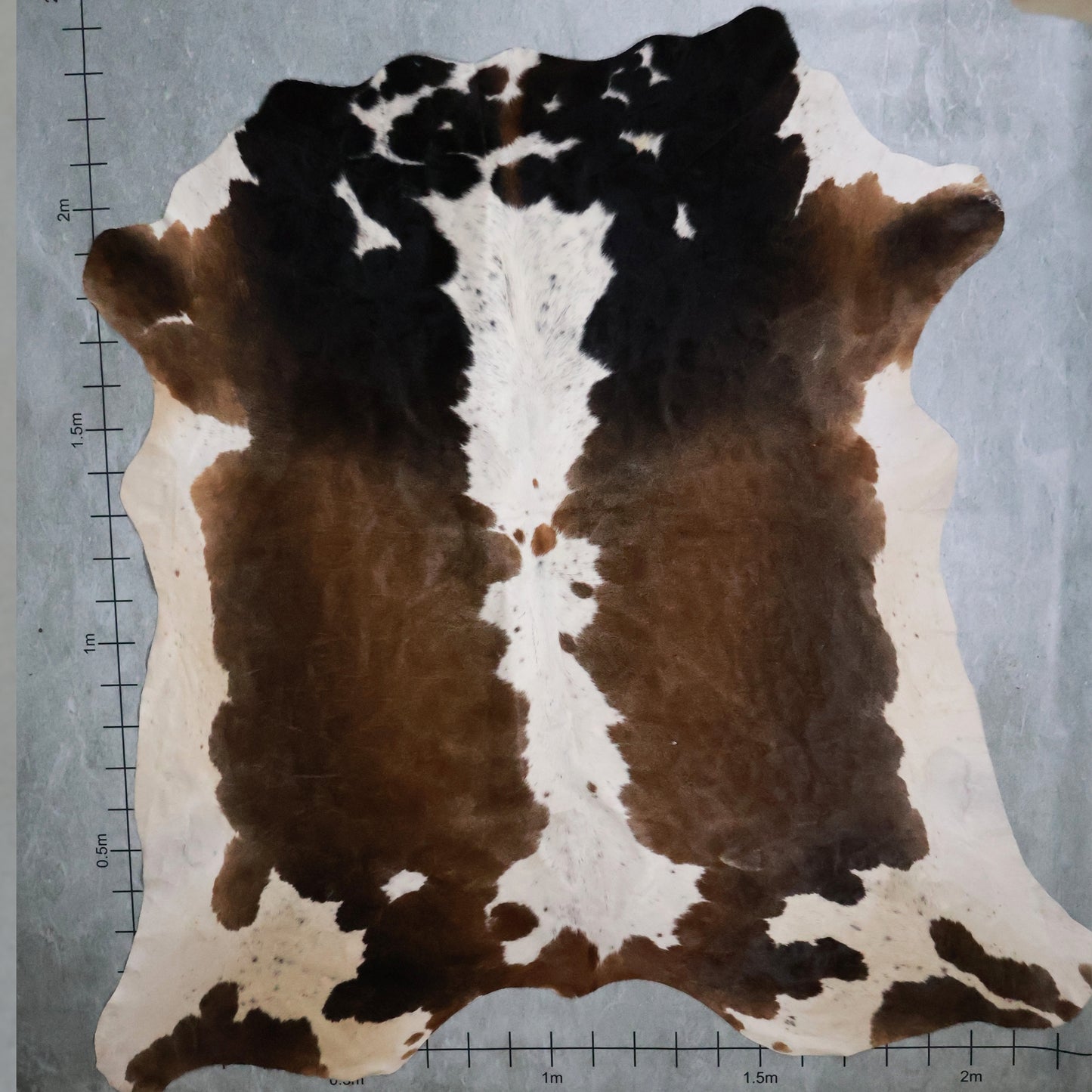 Tri-Colour Nguni Hide #TRI2819