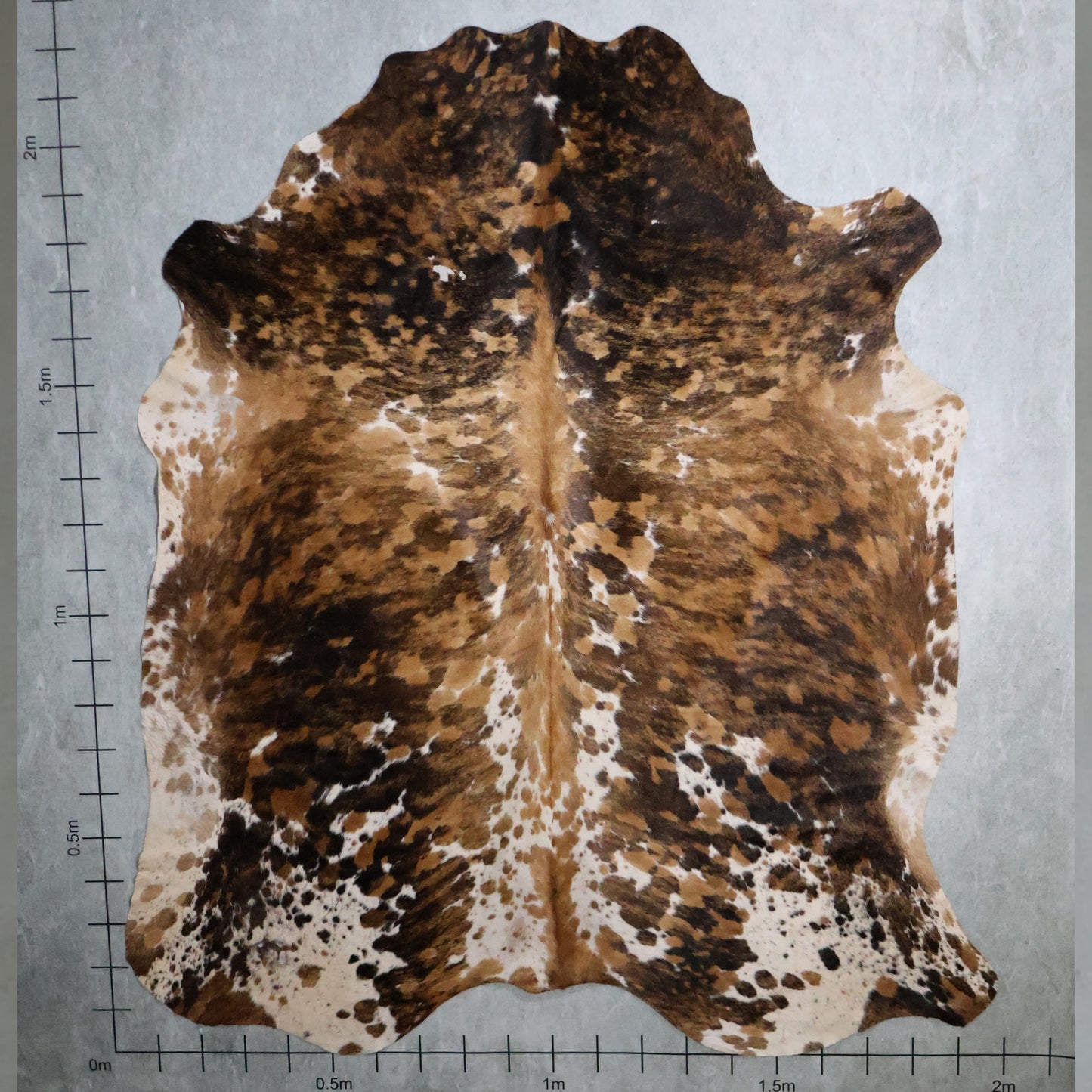 Tri-Colour Nguni Hide - Tan Brown, Black & Cream White | TRI2838 | 2.0m x 2.2m