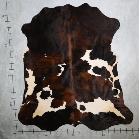 Tri-Colour Nguni Hide - Caramel Brown, Black & White | TRI2841 | 2.0m x 2.1m