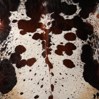 A close up of a cowhide rug with a natural black and brown spotted pattern on a white base.