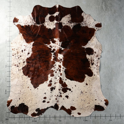 Genuine tri colour Nguni hide in brown, black and white with natural speckled pattern – TRI2848