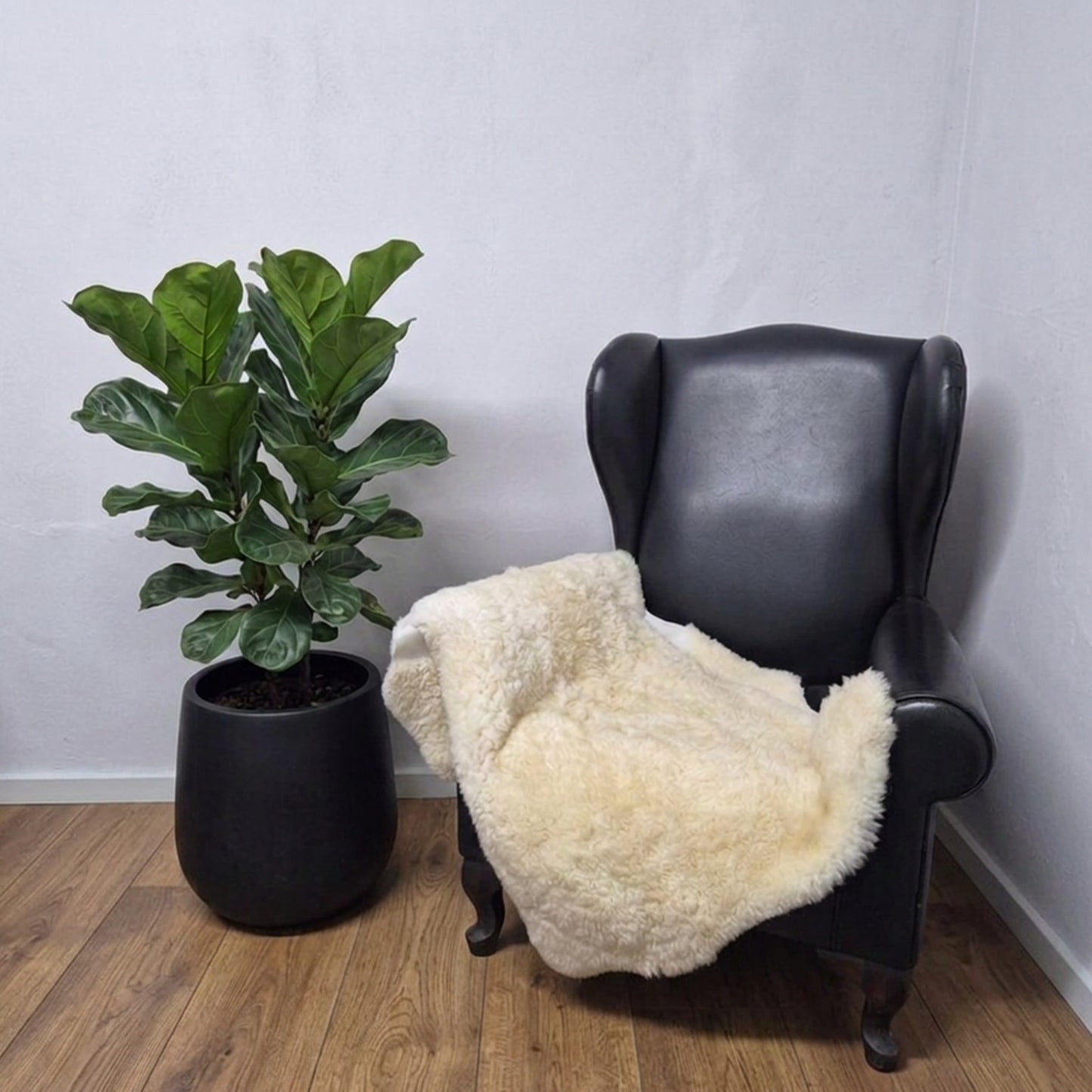 Premium Chrome White Sheepskin | Free wool cleaner with every Chrome White Sheepskin