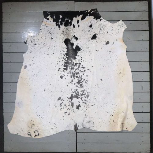 Nguni hide - AA Grade - AAG3947
