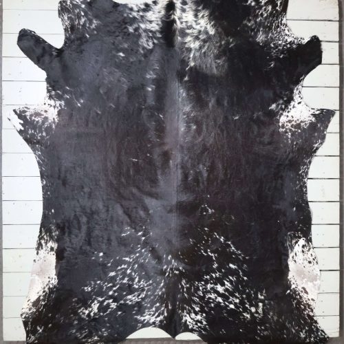 Nguni hide - AA Grade - AAG4600