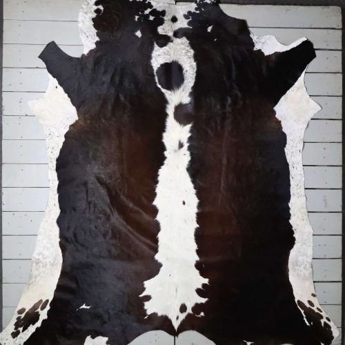 Nguni hide - AA Grade - AAG4609