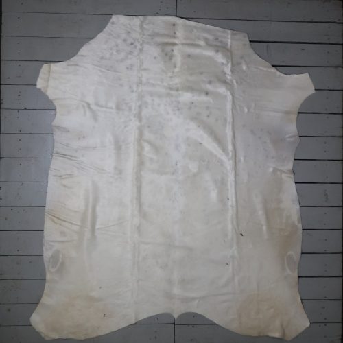 Nguni hide - AA Grade - AAG3662